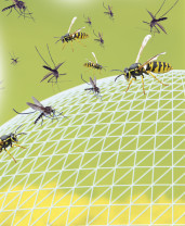 Ersatztabletten für Insektenschutz Pest Reject Bug Shield